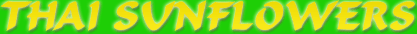 <script language=